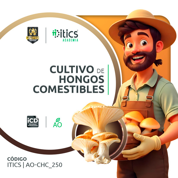 Cultivo de Hongos Comestibles